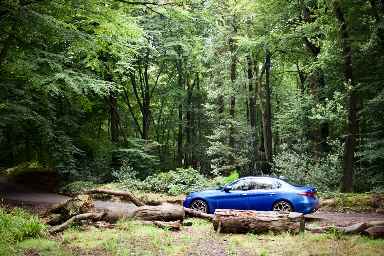Alfa Romeo Giulia in a forest